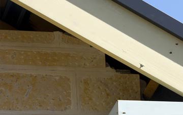 soffit repair Eskdale Green