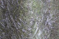 Eskdale Green fibreglass roof work